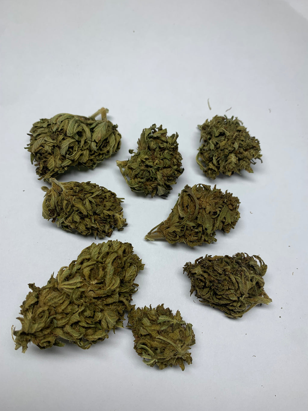 Big bud Creusoise  -  gros plan fleur cbd