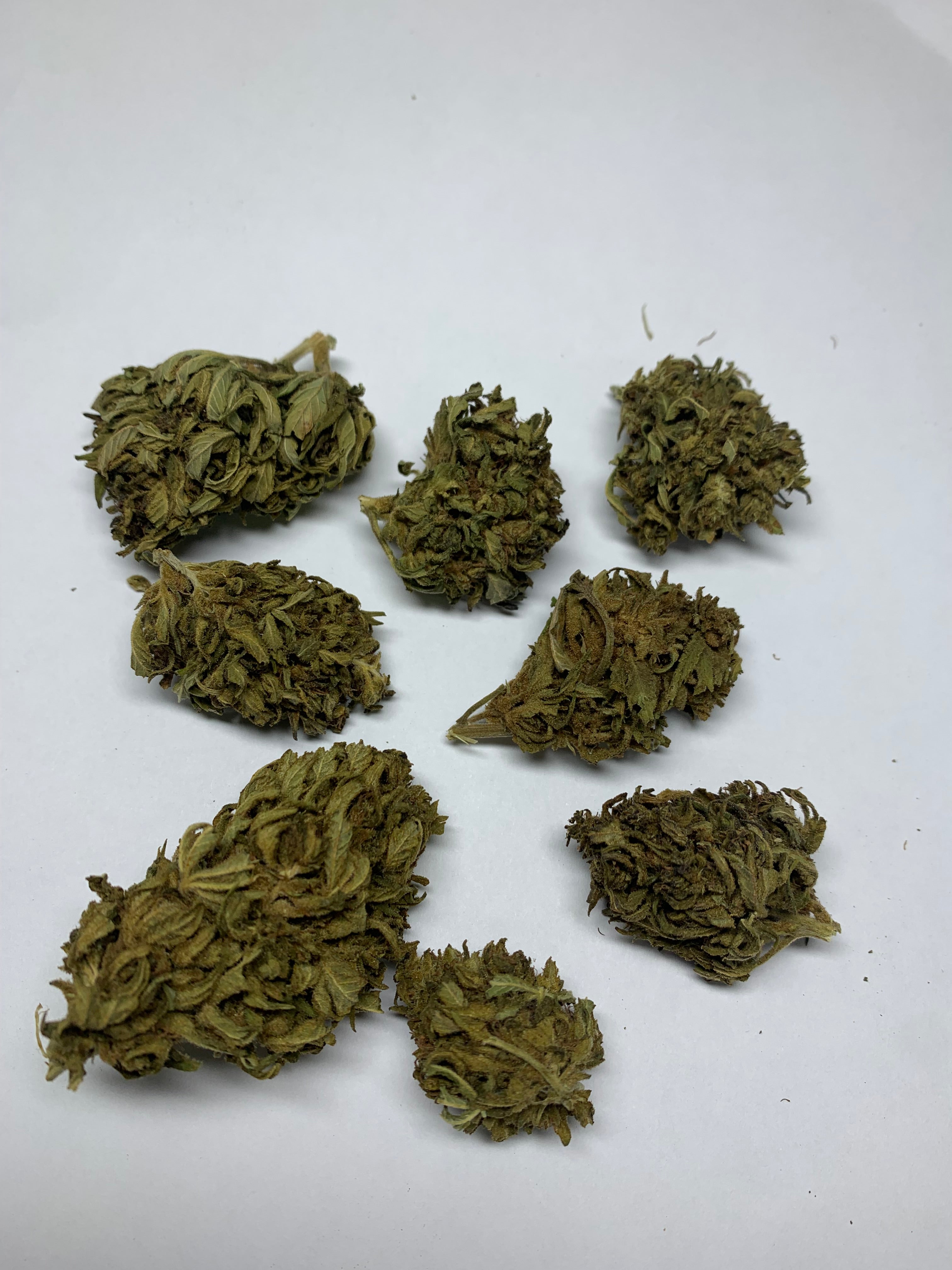 Big bud Creusoise  -  gros plan fleur cbd