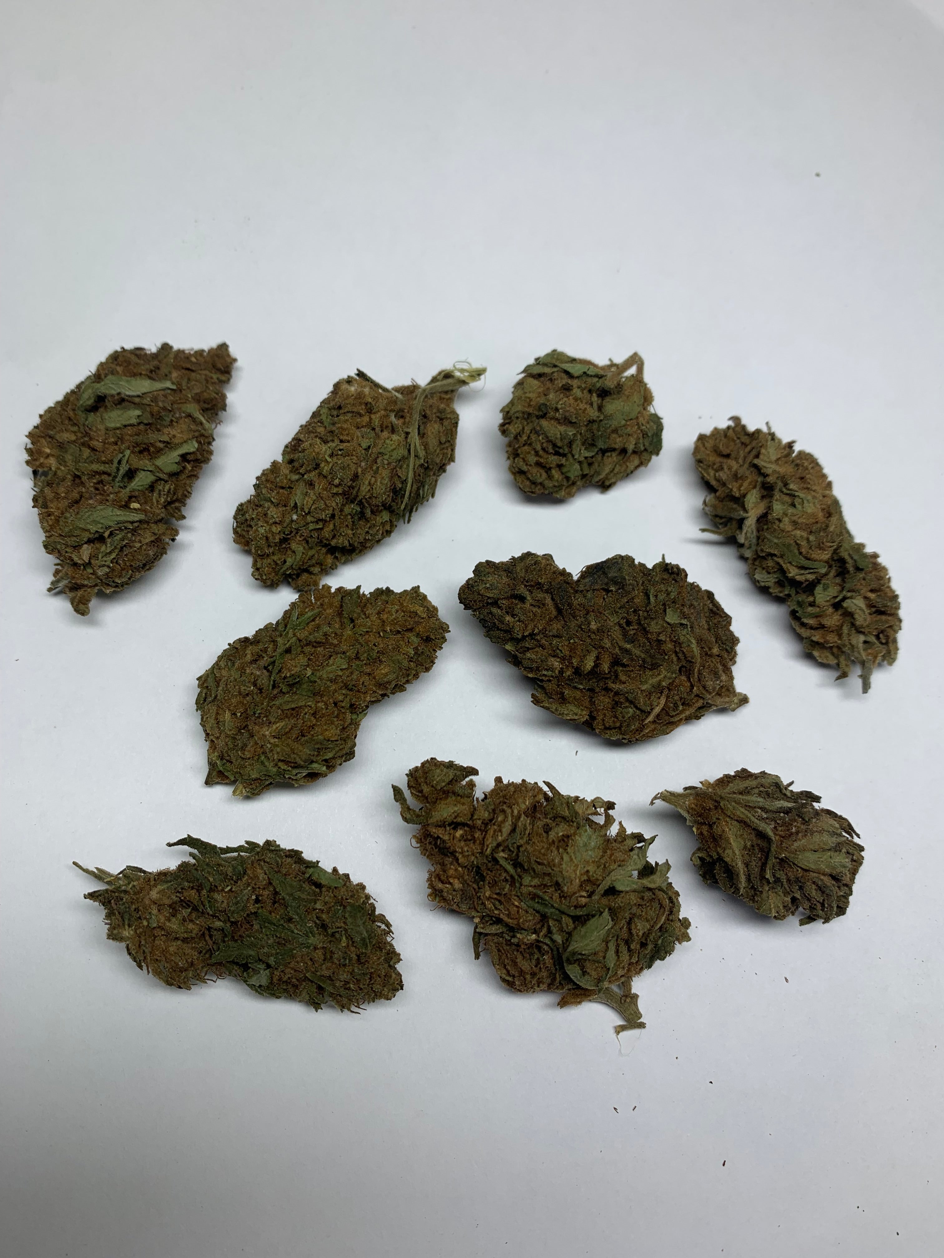 Big bud acdc - gros plan fleur cbd