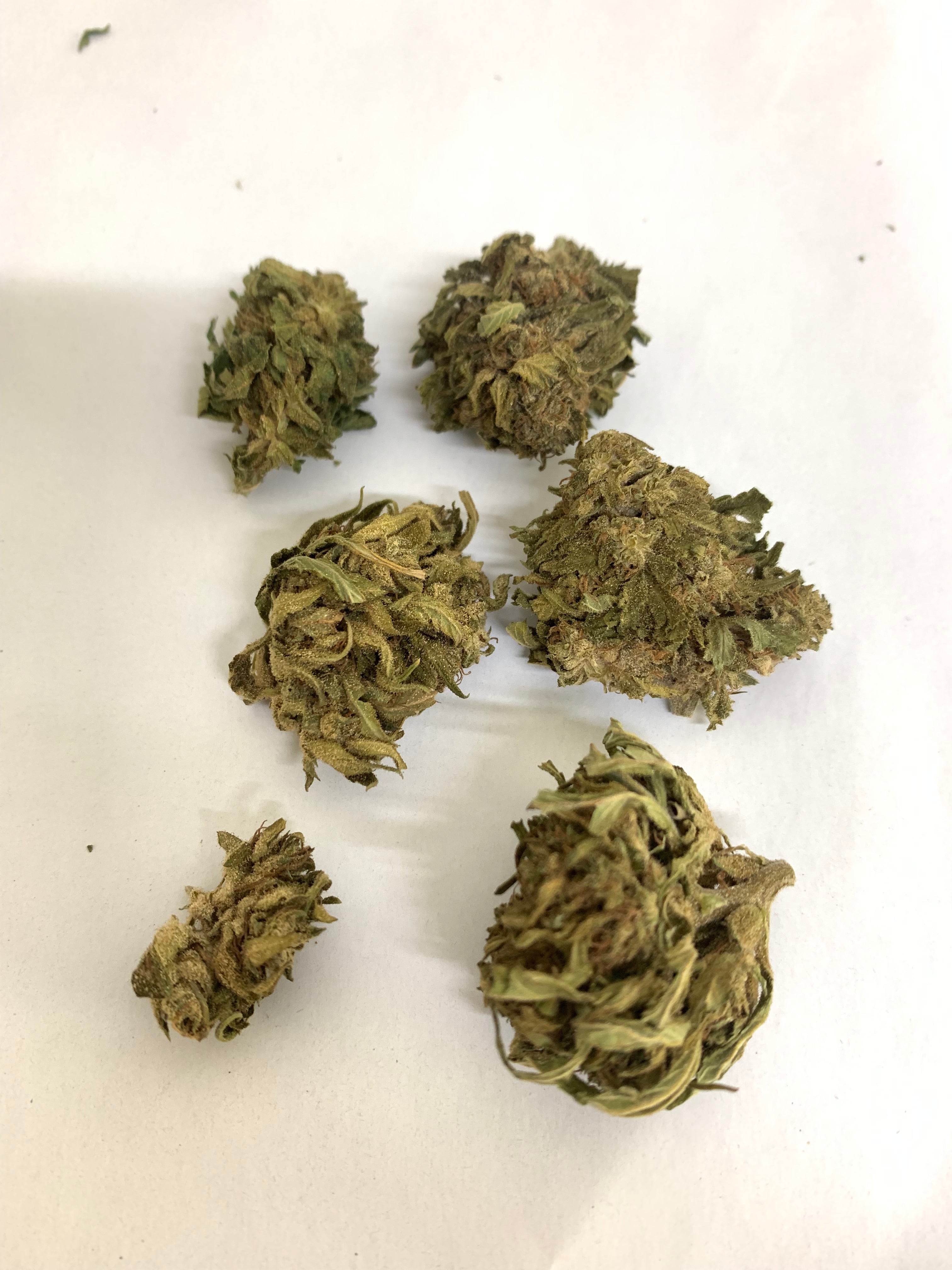 Big bud Tango CBD bio 10g - La ferme bio de Pigerolles 