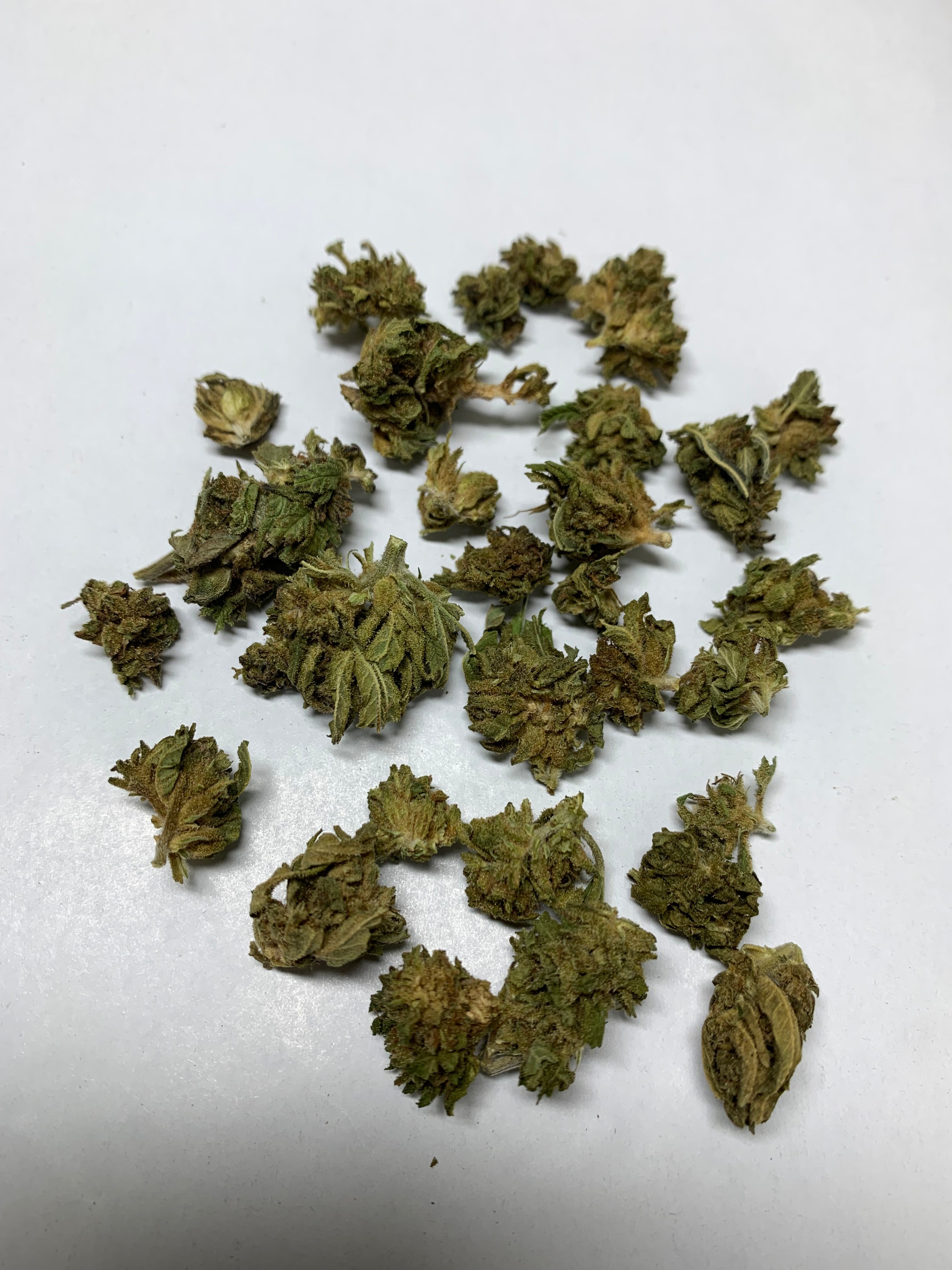 Fleur Limousine CBD - gros plan Fleur