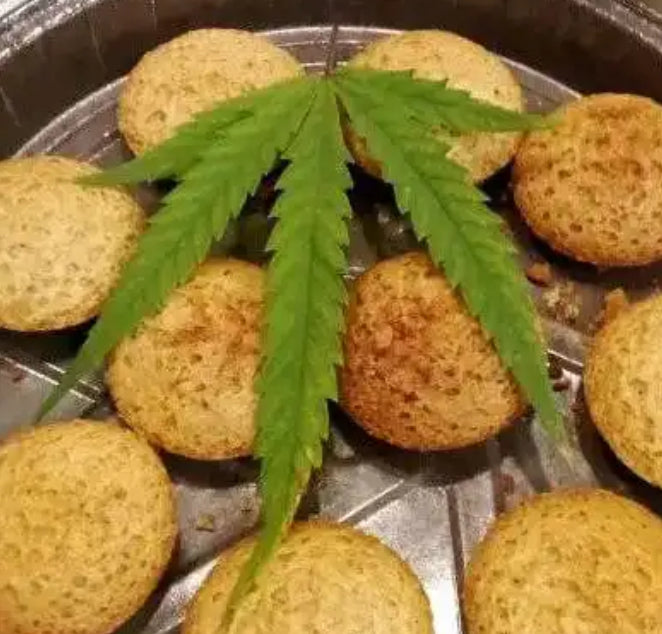 Space cake à la noisette