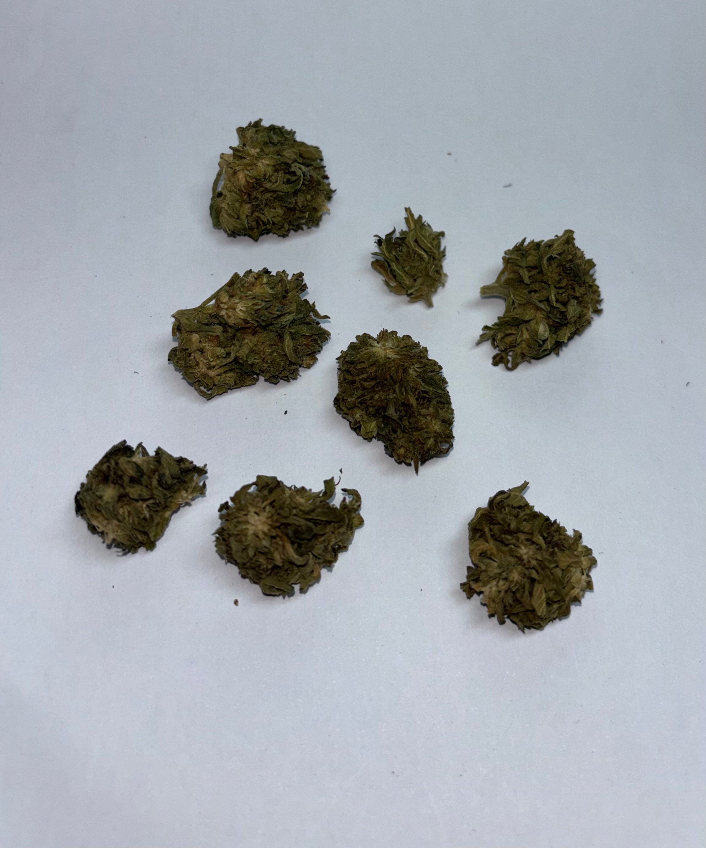 Fleur CBD: Tango mini bud